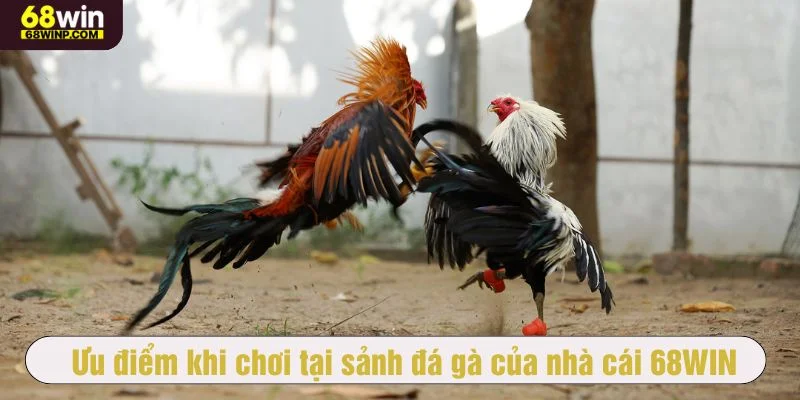 68WIN thiết kế nhiều tính năng vượt trội
