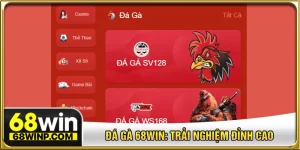 Đá gà 68WIN