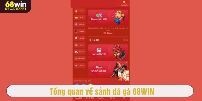 Đá gà 68WIN là điểm đến lý tưởng cho những ai đam mê đá gà trực tuyến