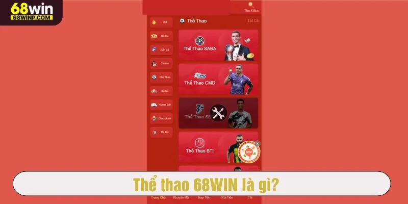 Thể thao 68WIN là nền tảng cá cược thể thao hàng đầu